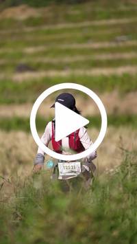 BIB:  <button type="button" onclick="openModal(26787358)" class="btn btn-primary btn-sm float-right" data-toggle="modal" data-target=".modal-high-quality">
                <i class="fa fa-download"></i> Download
                </button>